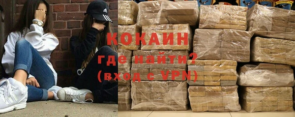 шишки Алексеевка