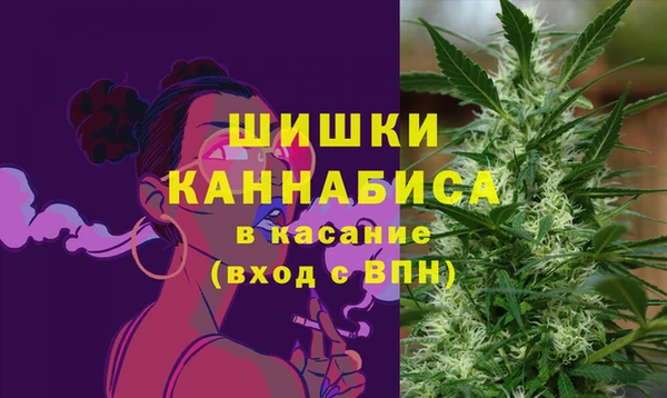 шишки Алексеевка