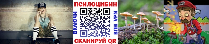 даркнет сайт  Казань  Галлюциногенные грибы мицелий 