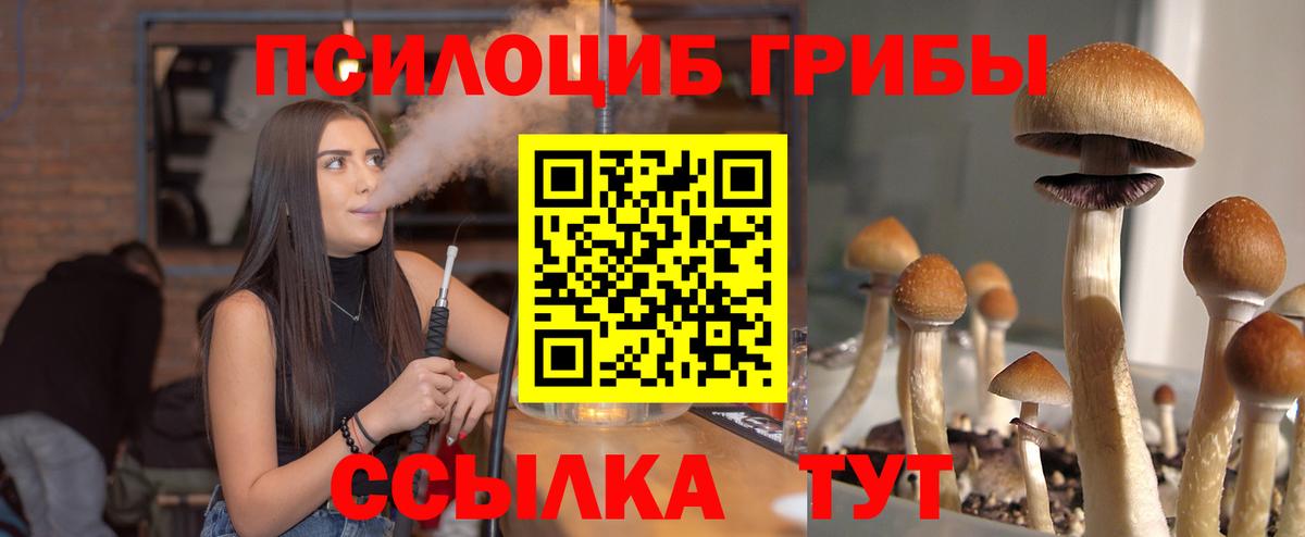 Казань  Псилоцибиновые грибы прущие грибы  Вход с VPN 